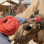 The top 3 festivals to experience in India’s most colourful state