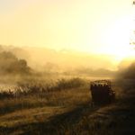 Photograph of the week: Game drive in the Sabi Sands Private Game Reserve