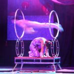 10 great reasons to go and see the Chinese State Circus