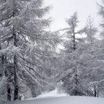 Fresh snow in the French Alps – top tips for skiing in poor visibility