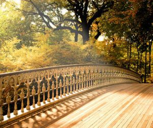 Top 10 places in the world to pop the question