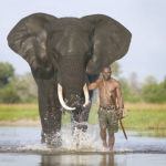 5 once-in-a-lifetime experiences in Botswana