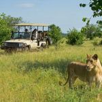 3 great reasons to safari in Zambia