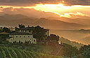 Villa Dievole Villa Dievole