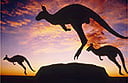 New South Wales' outback in need of luxury