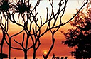Champagne Sunset Wildlife Safari at Seven Spirit Bay Wilderness Lodge, Australia