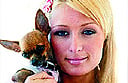 Tinkerbell Tinkerbell