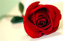 Best Valentines deals according to Shermans Travel