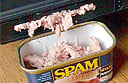 Spam