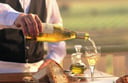 New gourmet walking tours of Adelaide