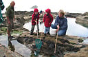 Rock pooling