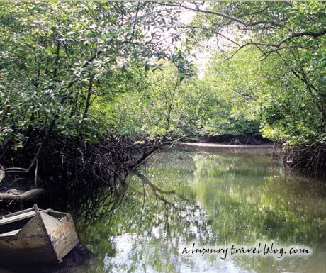 A lake on Langkawi