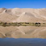 Photograph of the week: Gobi desert, Mongolia