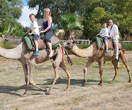 Camel Park