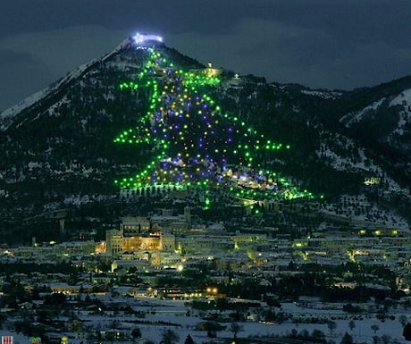 Big Christmas tree