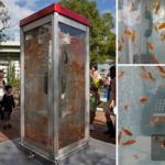 The ultimate use for those old phone boxes?