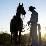 4 luxury offerings from guest ranches in Arizona