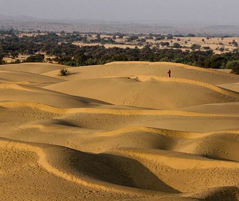 Thar Desert