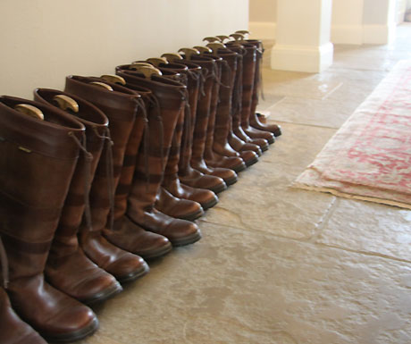 Dubarry boots