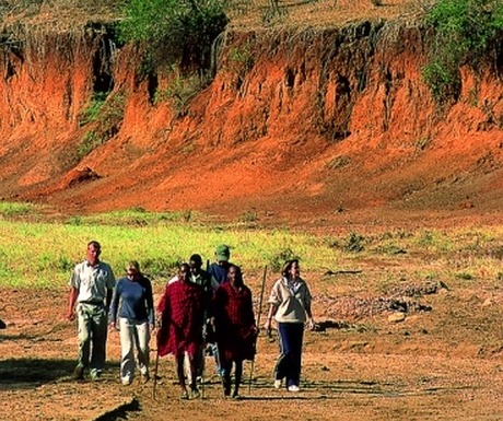 Porini walk with Maasai