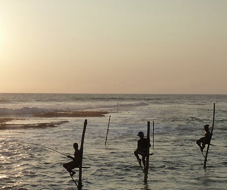 Stilt fishermen, Sri Lanka