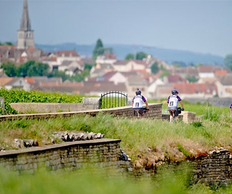 Cycling in Burgundy