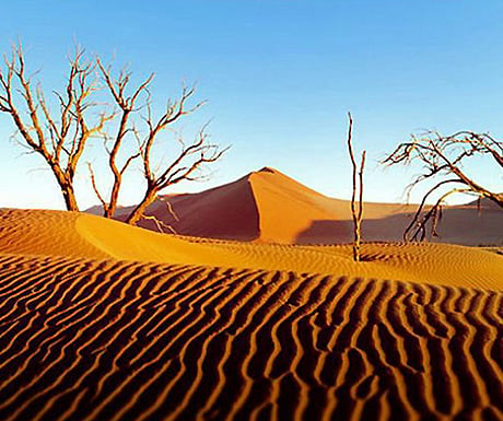 Namibian dunes