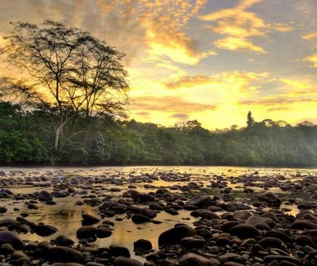 Temburong National Park, Brunei