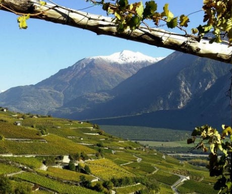 Summer in the Alps at Chalet d'Adrien