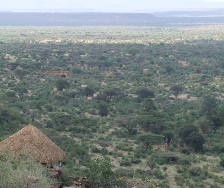 Safari locations