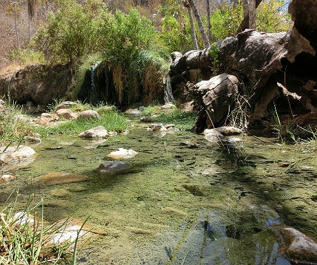 Beho Beho Hot Springs