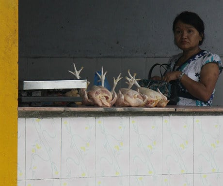 Chickens for sale as we leave Pokhora