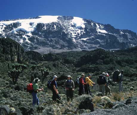 Kilimanjaro