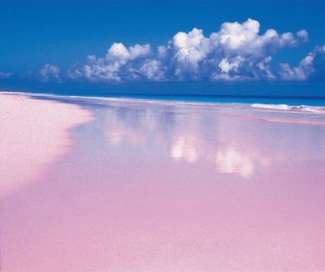 Pink Sands