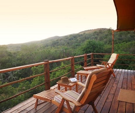 Addo Elephant Back Safaris & Lodge