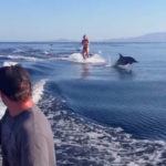 Wakeboarding with dolphins in the Sea of Cortez, Mexico