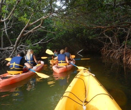 Kayak