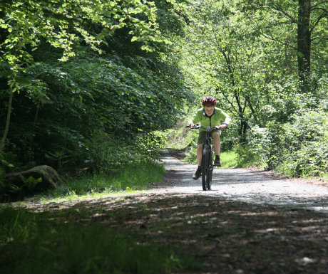 Mountain biking in the Lake District