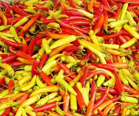 Vietnam chillies