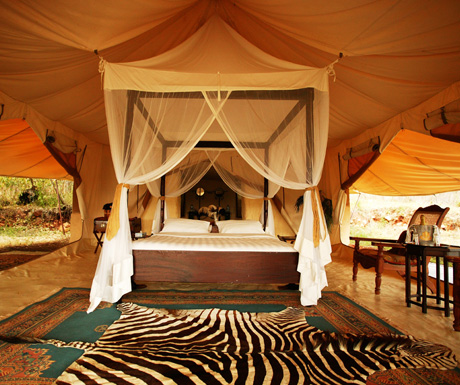 Luxury safari camp
