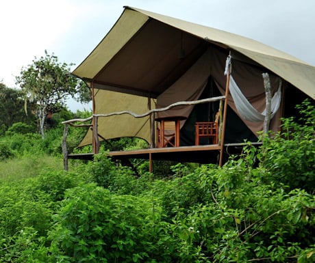 Galapagos Safari Camp, Santa Cruz Island