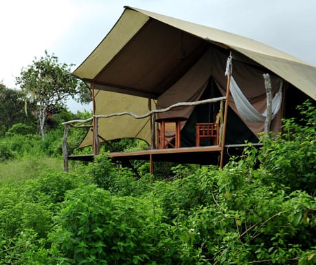 Galapagos Safari Camp, Santa Cruz Island