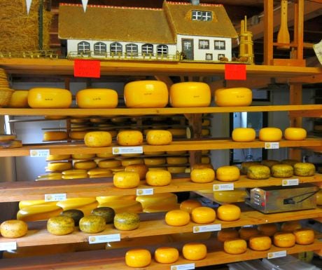 Gouda