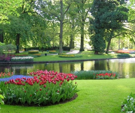 Keukenhof