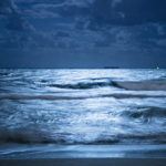 Photograph of the week: A moonlit Palm Beach