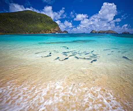 Lord Howe Island, Australia