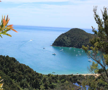 The Abel Tasman coast track