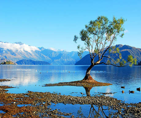 Wanaka