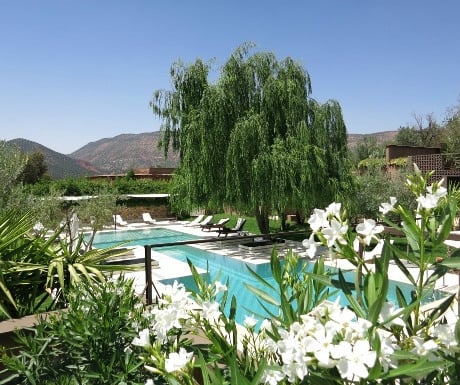 Domaine de Malika gardens and pool