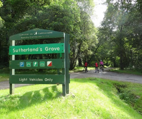 Sutherland's Grove